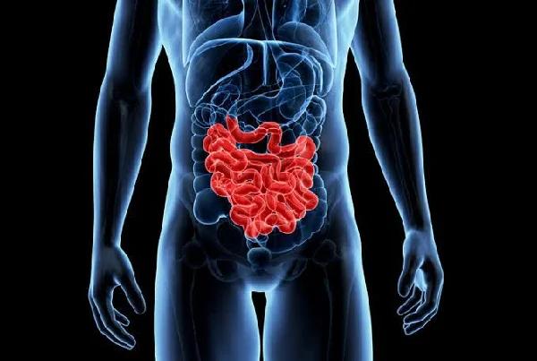 Small Intestine Diseases